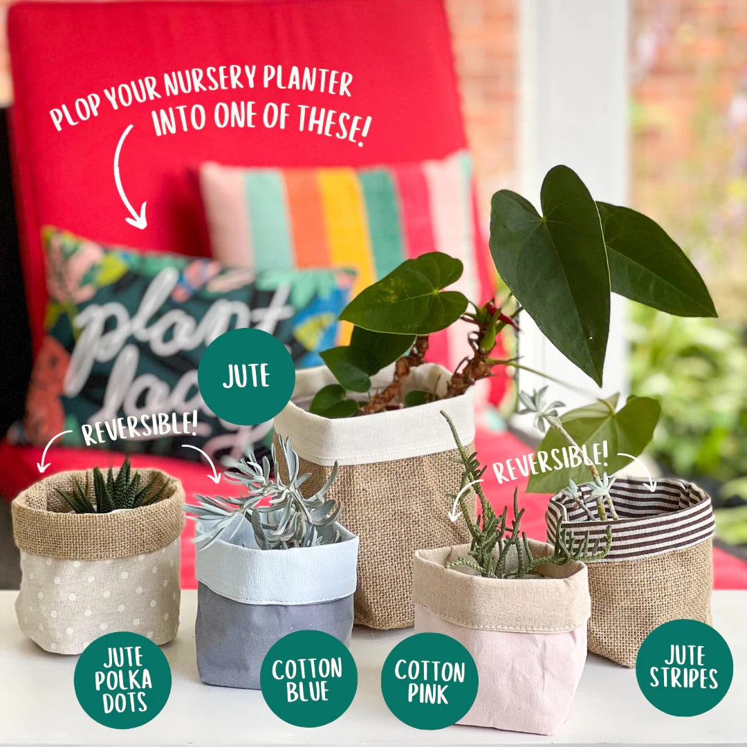 ✨ BRAD'S SPECIAL: Boho Planter Covers