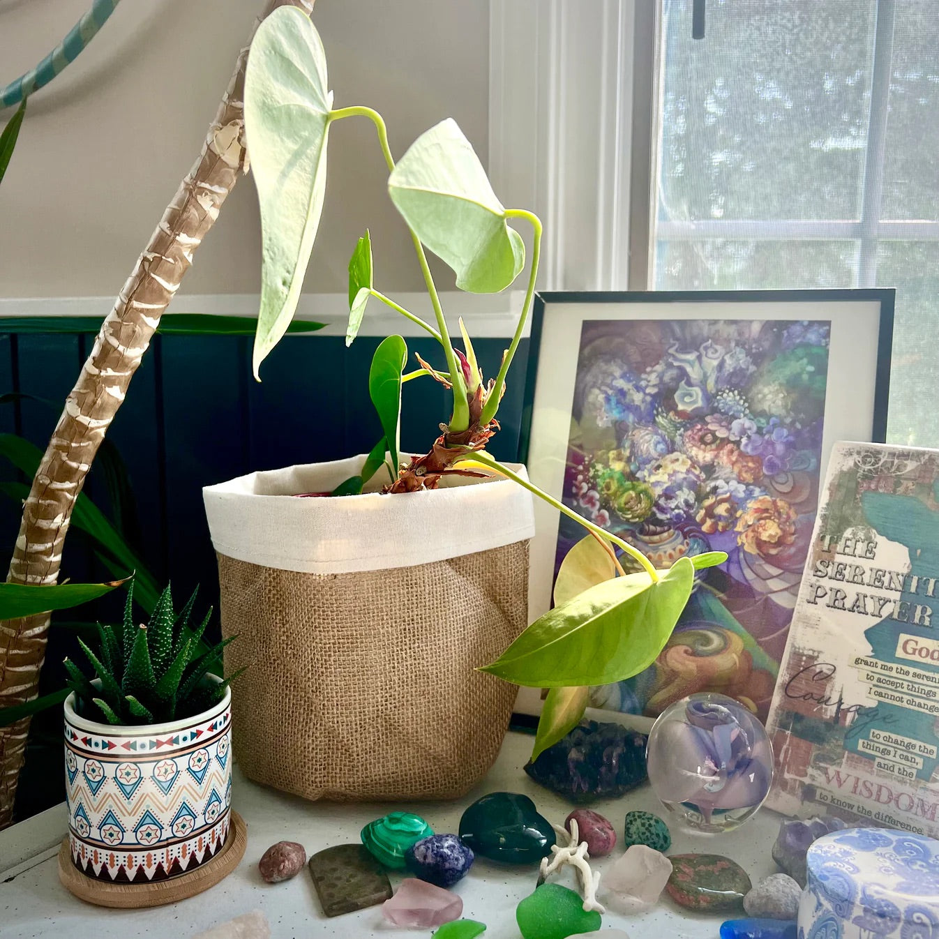 ✨ BRAD'S SPECIAL: Boho Planter Covers