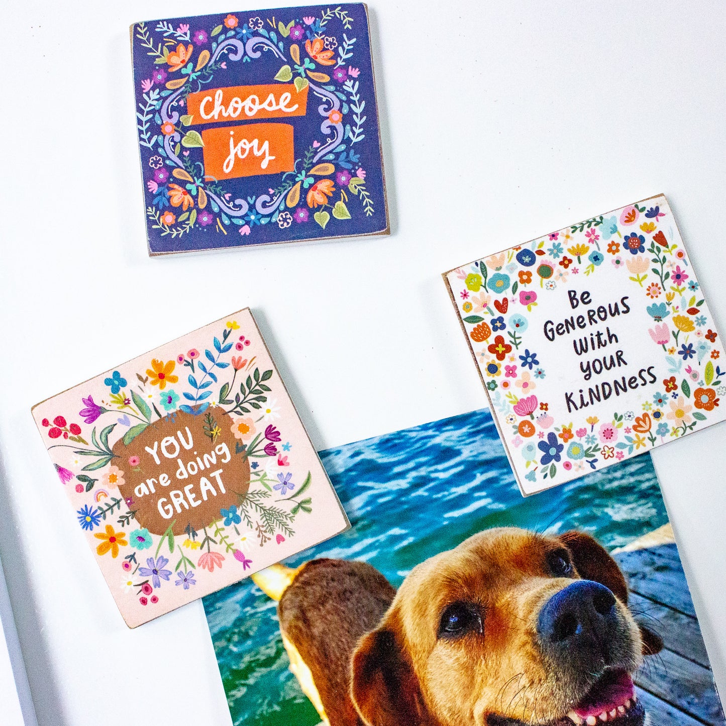 Live Joyful Fridge Kit (Memo Pad + Magnets)