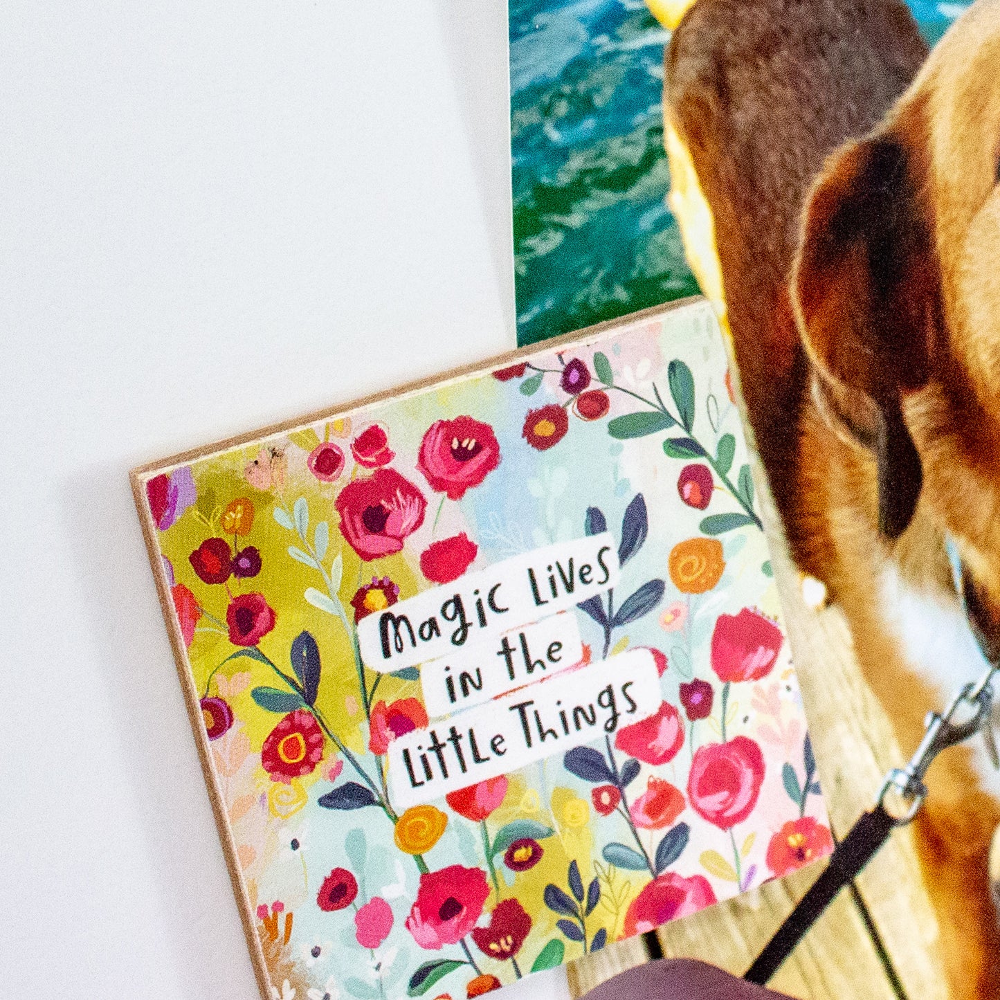 Lift Her Up Fridge Kit (Memo Pad + Magnets)