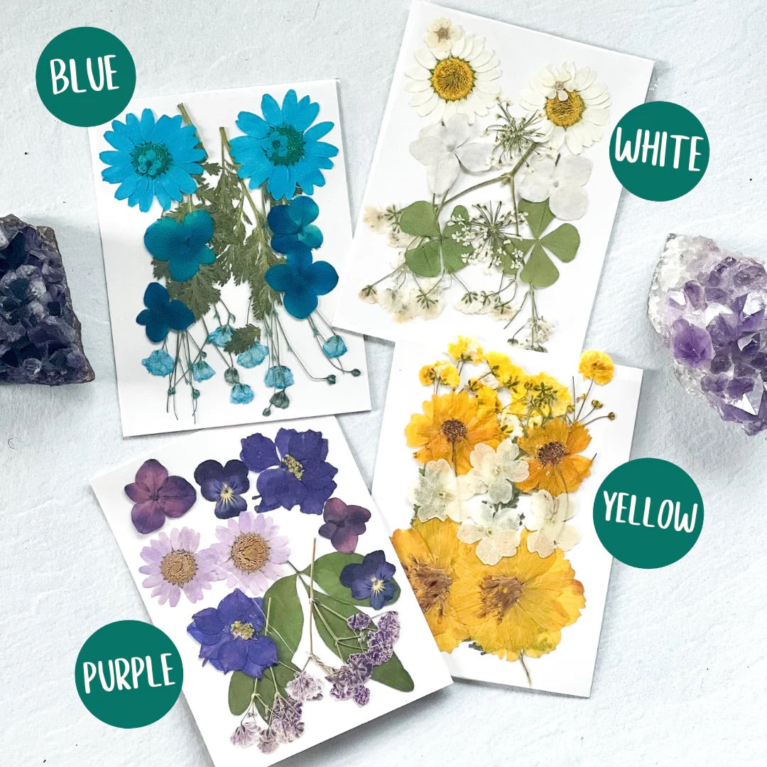 Brynne's "Cozy Craft" Bundle