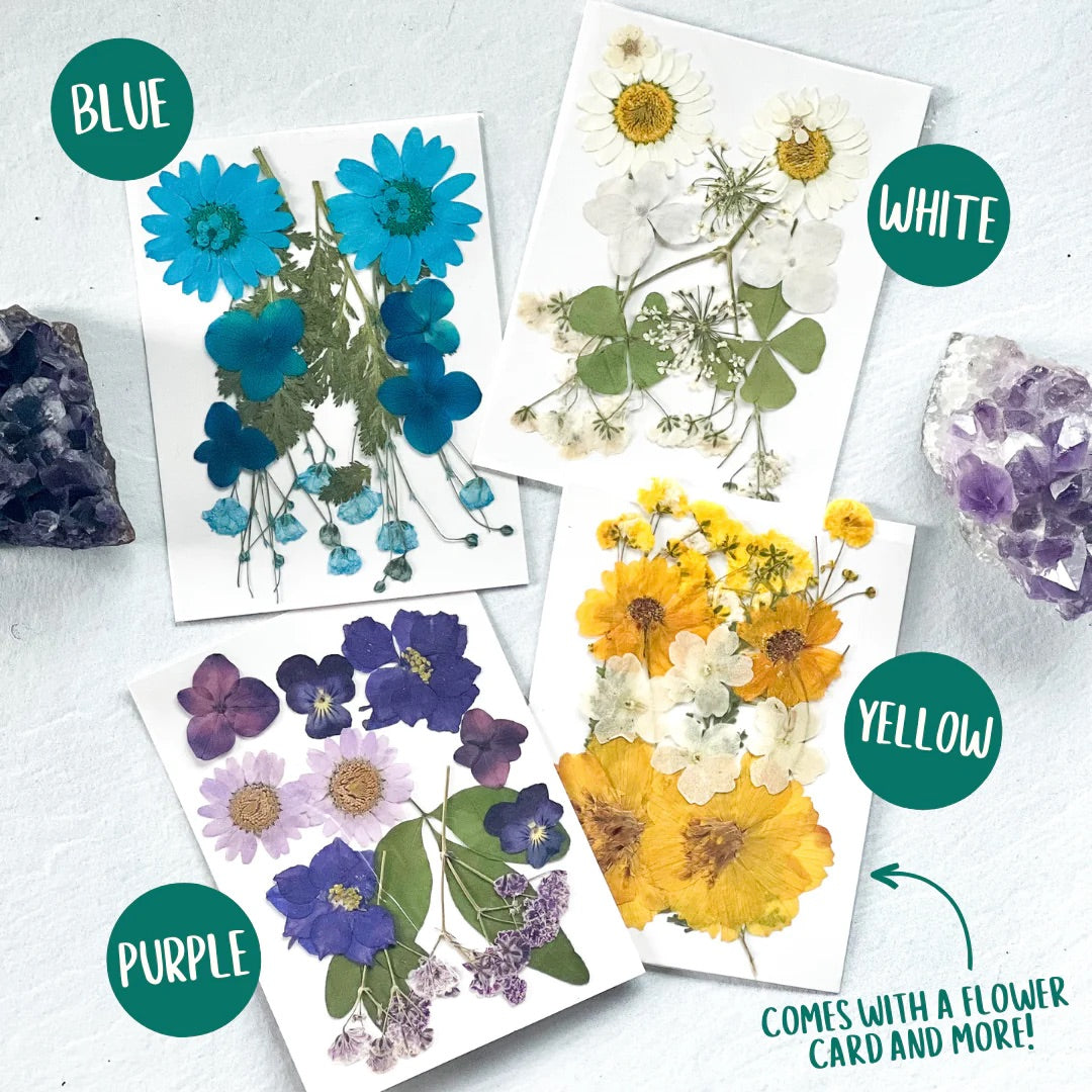 Pressed Flower Bookmark DIY Kit