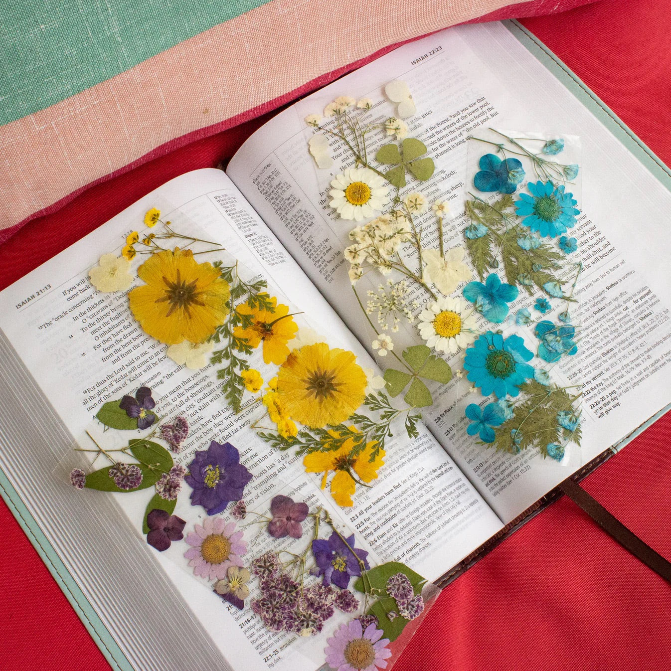 Pressed Flower Bookmark DIY Kit