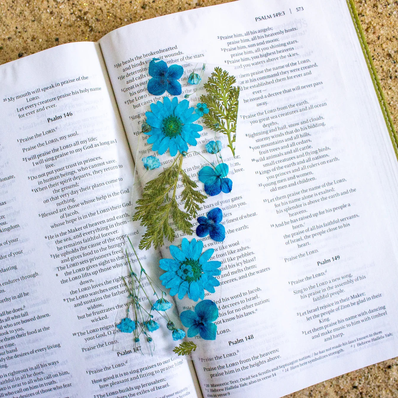 Pressed Flower Bookmark DIY Kit