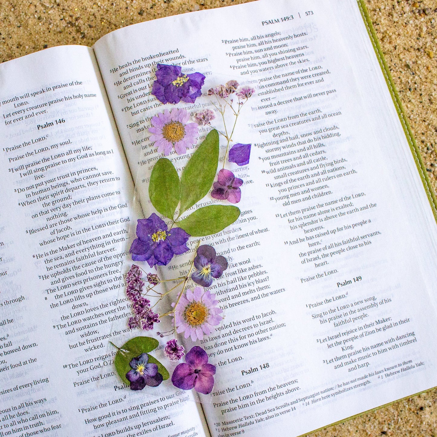 Pressed Flower Bookmark DIY Kit