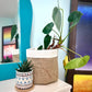 ✨ BRAD'S SPECIAL: Boho Planter Covers