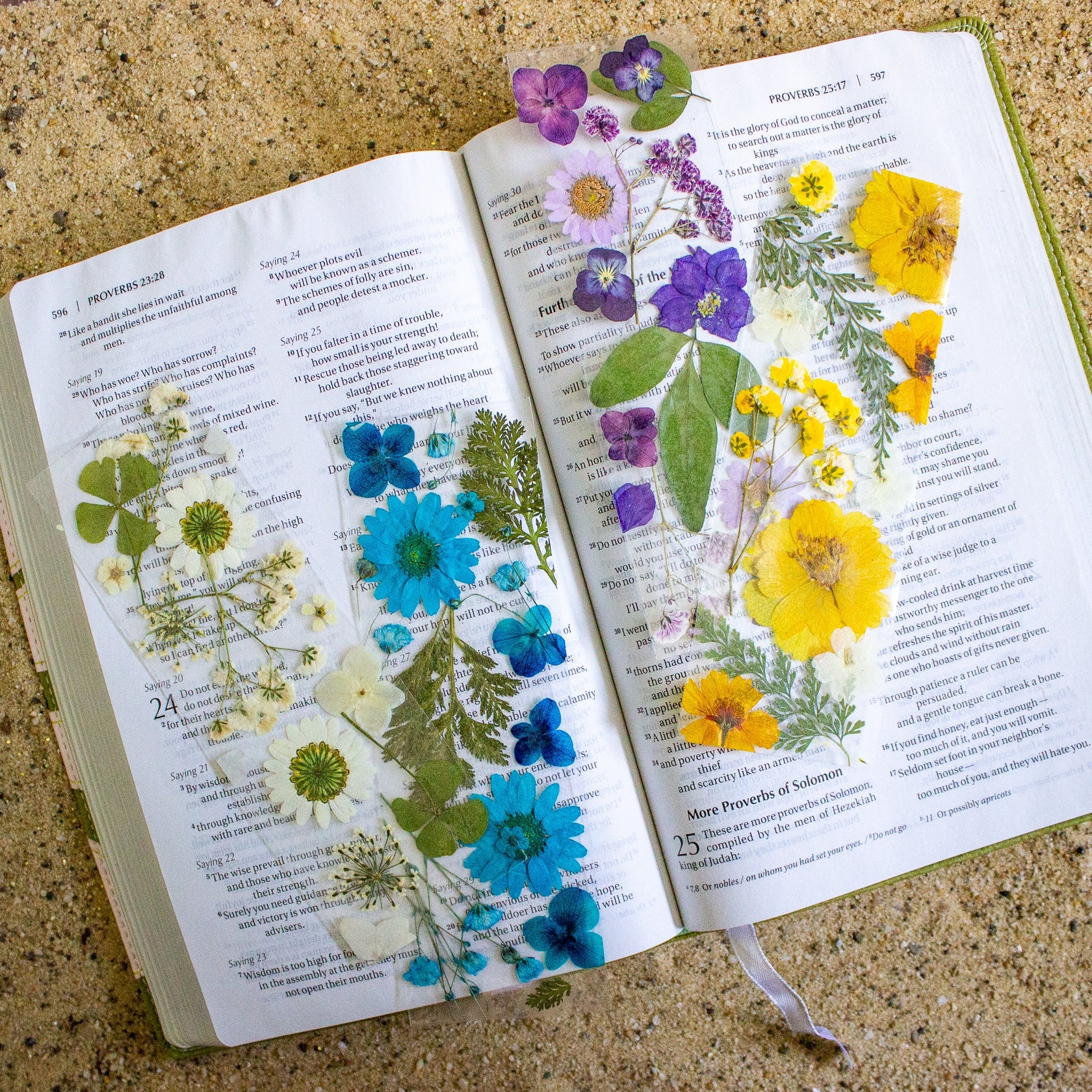 Pressed Flower Bookmark DIY Kit Daisy Dunes